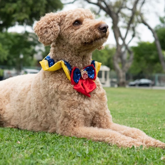 Disney Princess Snow White Premium Pet Collar - Size L - Picture 2 of 11